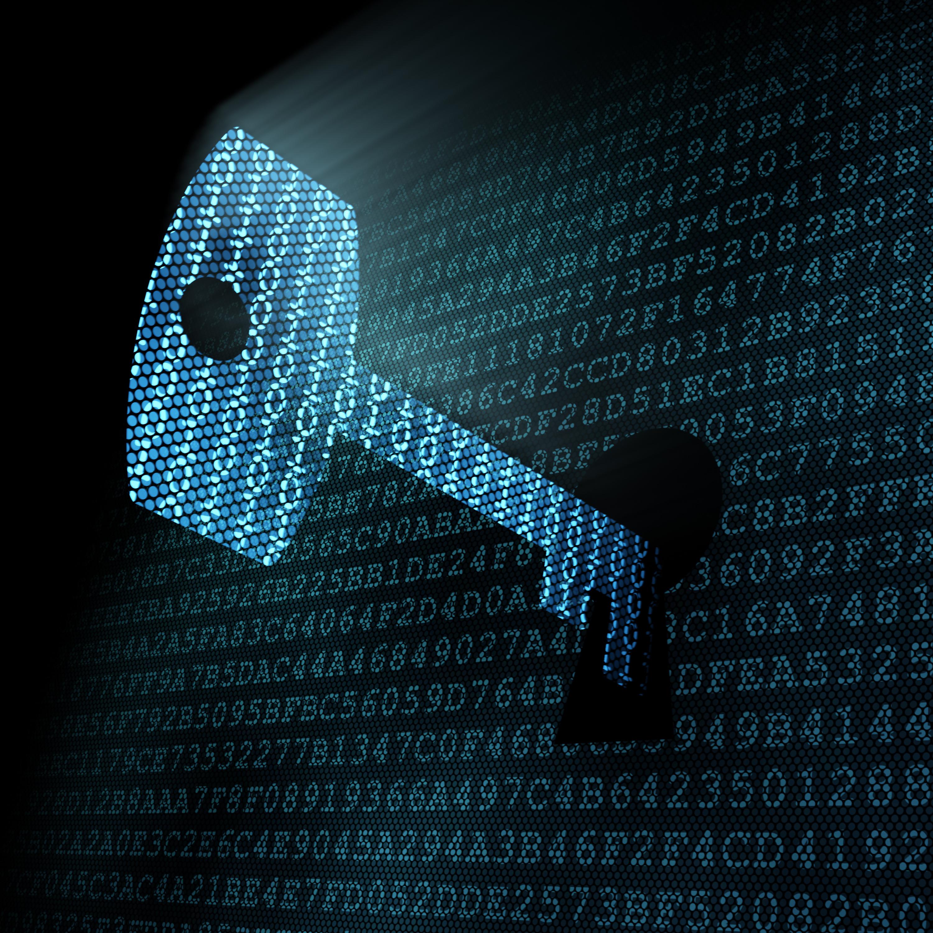The-Cost-of-Inadequate-Data-Encryption