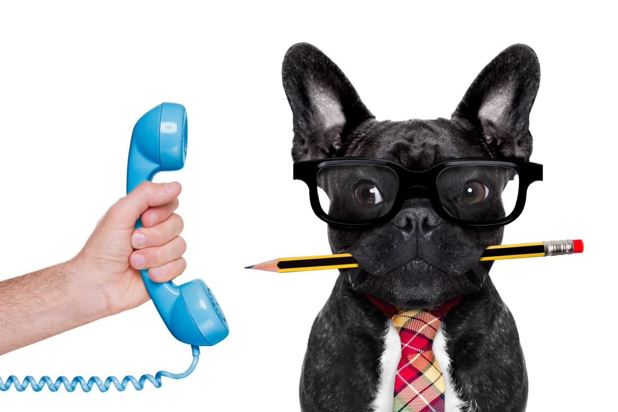 Leverage Contact Lens AI for optimizing call center management