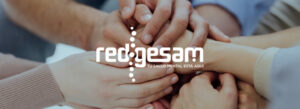 banner redgesam case study